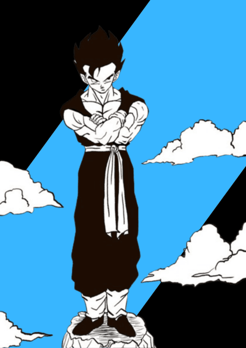 gohan