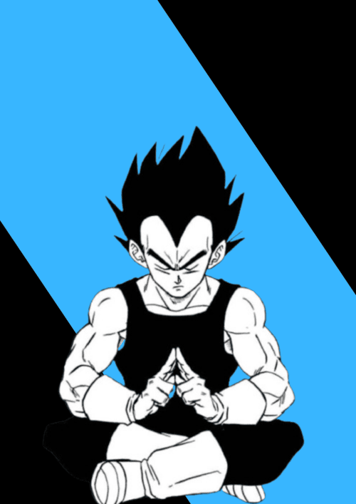 prince-vegeta